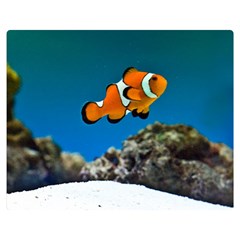 Clownfish 1 Double Sided Flano Blanket (medium)  by trendistuff