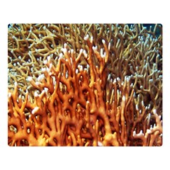 Fire Coral 1 Double Sided Flano Blanket (large)  by trendistuff
