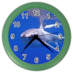 Great White Shark 4 Color Wall Clocks by trendistuff