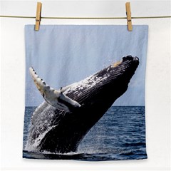 Humpback 2 Face Towel by trendistuff