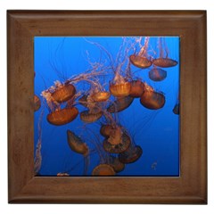 Jellyfish Aquarium Framed Tiles by trendistuff