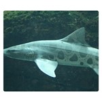 LEOPARD SHARK Double Sided Flano Blanket (Small)  50 x40  Blanket Front