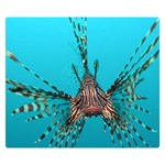 LIONFISH 2 Double Sided Flano Blanket (Small)  50 x40  Blanket Back