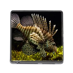 Lionfish 3 Memory Card Reader (square) by trendistuff