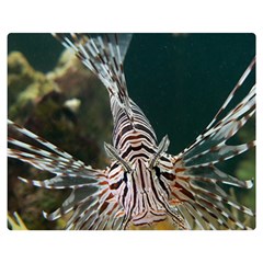 Lionfish 4 Double Sided Flano Blanket (medium)  by trendistuff