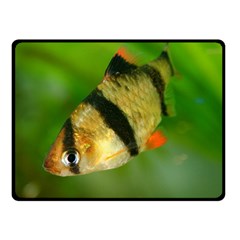 Tiger Barb Fleece Blanket (small) by trendistuff