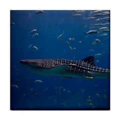 Whale Shark 1 Face Towel by trendistuff