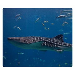 Whale Shark 1 Double Sided Flano Blanket (small)  by trendistuff