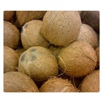 COCONUTS 2 Double Sided Flano Blanket (Small)  50 x40  Blanket Front