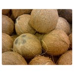 COCONUTS 2 Double Sided Flano Blanket (Medium)  60 x50  Blanket Back