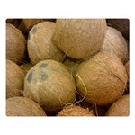 COCONUTS 2 Double Sided Flano Blanket (Large)  80 x60  Blanket Front