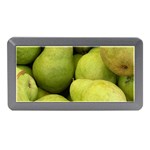 PEARS 1 Memory Card Reader (Mini) Front