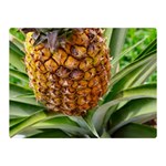PINEAPPLE 2 Double Sided Flano Blanket (Mini)  35 x27  Blanket Front