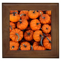 Pumpkins 2 Framed Tiles by trendistuff