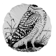 Animal Bird Forest Nature Owl Large 18  Premium Flano Round Cushions by Nexatart