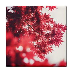 Maple Leaves Red Autumn Fall Tile Coasters by Sapixe