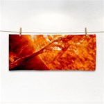 Spectacular Solar Prominence Cosmetic Storage Cases Front