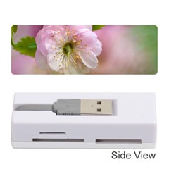 Single Almond Flower Memory Card Reader (stick) by FunnyCow