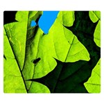 Window Of Opportunity Double Sided Flano Blanket (Small)  50 x40  Blanket Back