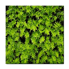 Green Hedge Texture Yew Plant Bush Leaf Tile Coasters by Sapixe