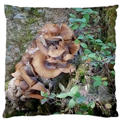 Abstract Of Mushroom Standard Flano Cushion Case (one Side) by canvasngiftshop