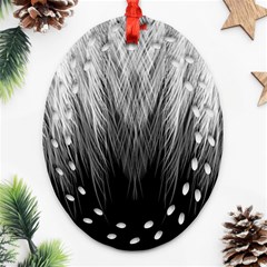 Feather Graphic Design Background Oval Filigree Ornament (two Sides) by Nexatart