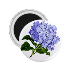 Flower 1775377 1280 2 25  Magnets by vintage2030