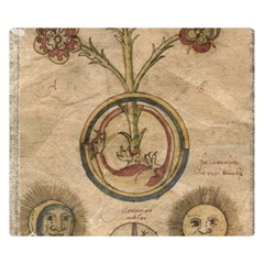 Vintage 1181681 1280 Double Sided Flano Blanket (small)  by vintage2030