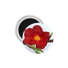 Deep Plumb Blossom 1 75  Magnets by lwdstudio