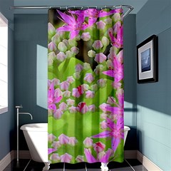 Hot Pink Succulent Sedum With Fleshy Green Leaves Shower Curtain 36  X 72  (stall)  by myrubiogarden