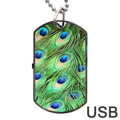 Peacock Feathers Peafowl Dog Tag Usb Flash (one Side) by Wegoenart