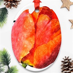 Red Tulip And Black Stripes Oval Ornament (two Sides) by picsaspassion