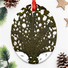 Leaf Tree Ornament (oval Filigree) by Mariart
