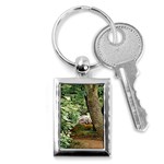 Garden of the Phoenix Key Chains (Rectangle)  Front