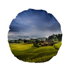 Vietnam Terraces Rice Silk Standard 15  Premium Flano Round Cushions by Sudhe