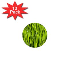 Agricultural Field   1  Mini Magnet (10 Pack)  by rsooll