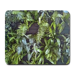 Living Wall Large Mousepads by Riverwoman