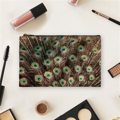 Bird Peacock Tail Feathers Cosmetic Bag (medium) by Pakrebo