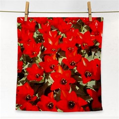 Columbus Commons Red Tulips Face Towel by Riverwoman