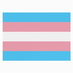 Transgender Pride Flag Large Glasses Cloth by lgbtnation