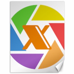 Xcoin Logo 200x200 Canvas 36  X 48  by Ipsum
