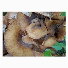 Close Up Mushroom Abstract Large Glasses Cloth by Fractalsandkaleidoscopes