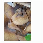 Close Up Mushroom Abstract Large Garden Flag (Two Sides) Front