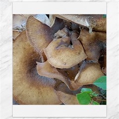 Close Up Mushroom Abstract Canvas 11  X 14  by Fractalsandkaleidoscopes