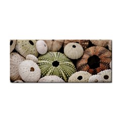 Sea Urchins Hand Towel by TheLazyPineapple