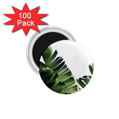 Green Banana Leaves 1 75  Magnets (100 Pack)  by goljakoff