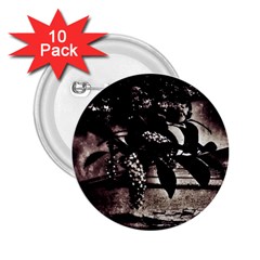 Dark Spring 2 25  Buttons (10 Pack)  by MRNStudios
