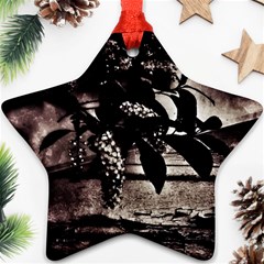 Dark Spring Star Ornament (two Sides) by MRNStudios