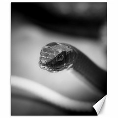 Black And White Snake Canvas 20  X 24  by ExtraAwesomeSauce