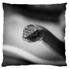 Black And White Snake Large Cushion Case (two Sides) by ExtraAwesomeSauce